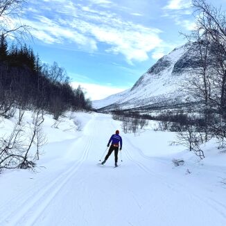 Gode skiforhold i vinterferien