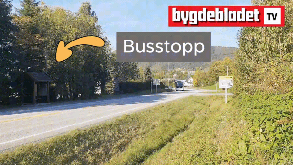 Buss-stopp stengt pga hekk som skulle fjernast for 11 år sidan