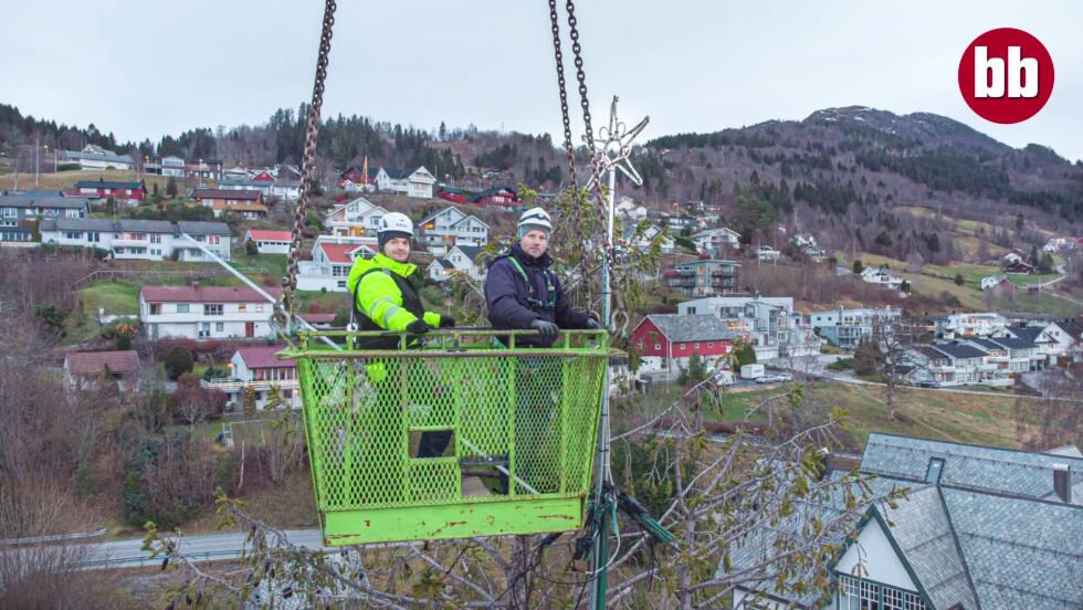 Julekrana på Sjøholt vart for dyr