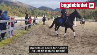 Hestens dag på Vatne travpark