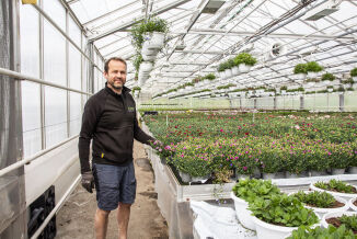 40.000 blomar på veg ut