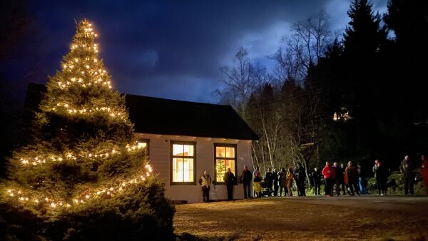 Julegrantenning i Solnørdalen