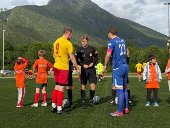 Knuste serieleiaren