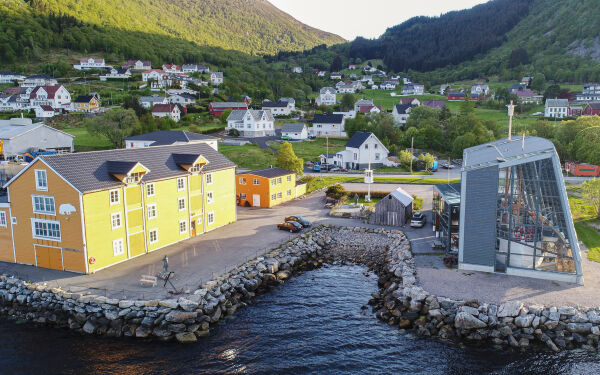 Salsstandar blant isbjørn og moskus