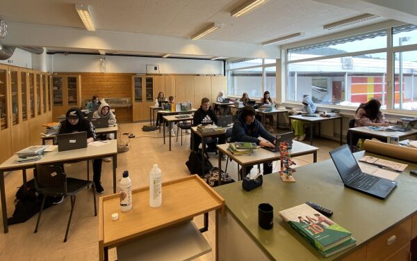 Små kohortar i store klasserom