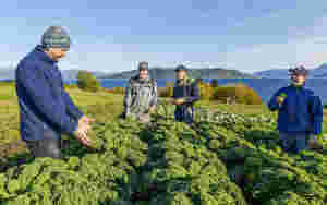 Ny strategi for landbruket i fylket