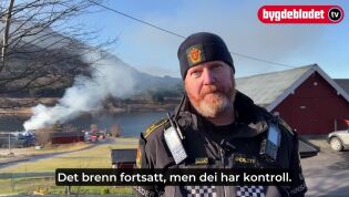 Innsatsleiar