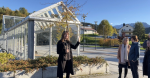 Støtte til barnehagar og skule
