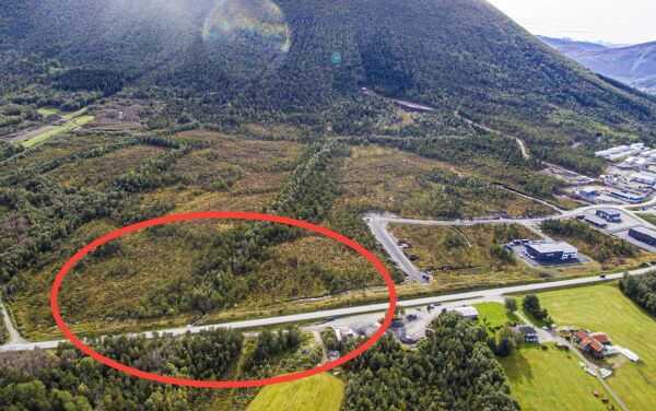 Slik blir kryssløysinga på Vik