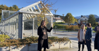 Støtte til barnehagar og skule