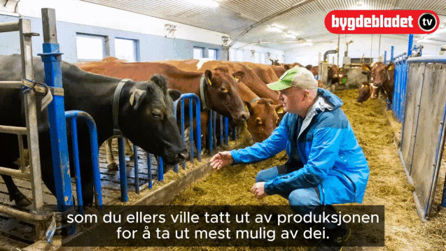 Sosiale medium driv opp etterspurnaden