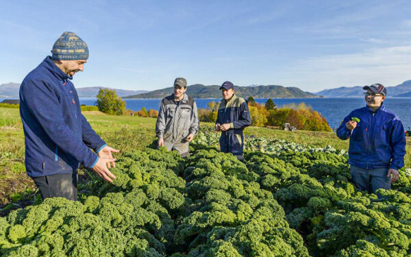 Ny strategi for landbruket i fylket