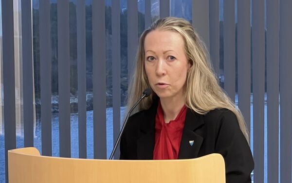 Kritisk til negativt fokus på gjeng som skaper utryggheit