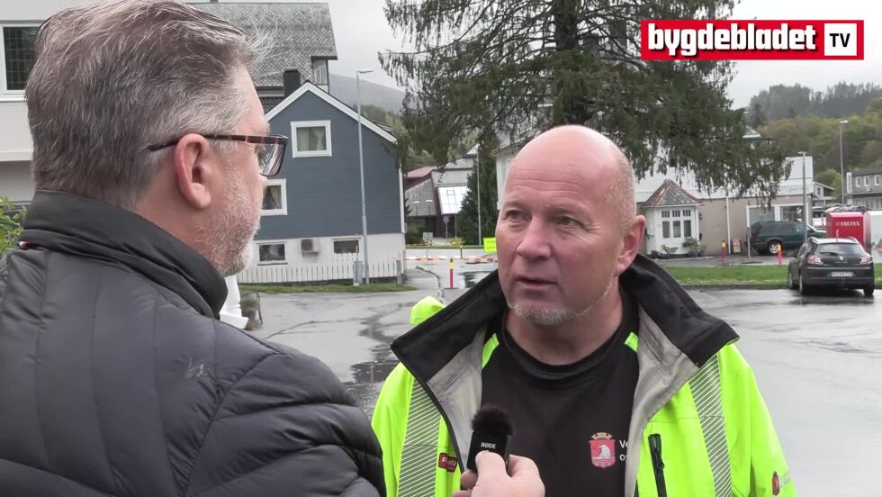 Skadd julegran