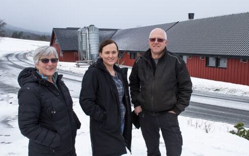 Vegingeniør blir bonde på Vestnes