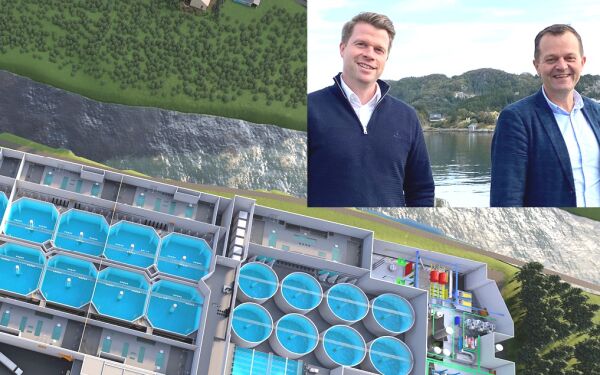 Storordre til lokalt selskap