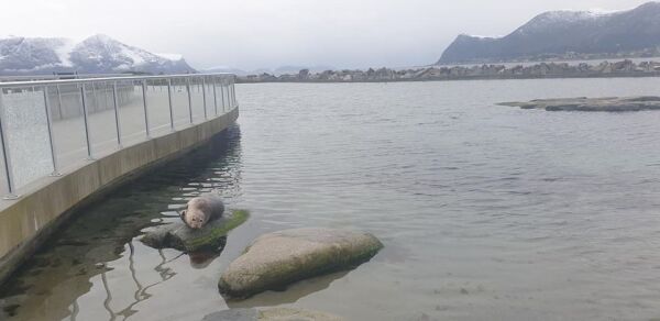 Atlanterhavsparken har opna igjen