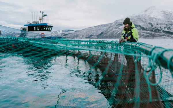 Gadus satsar i Møre og Romsdal