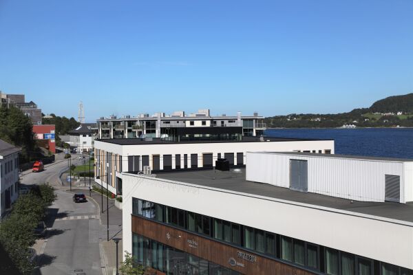 - Vi har observert at det veks tre og busker
