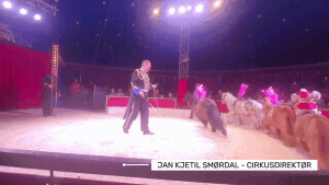 Cirkus Agora skuffa ikkje på Vestnes