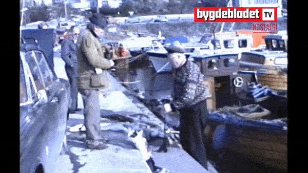 Det skjuler seg noko under moloen på Sjøholt