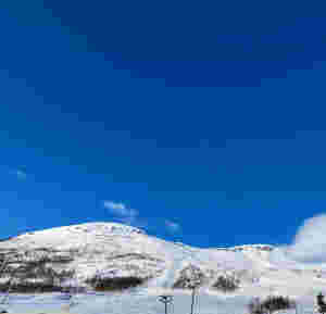 Berga ut frå snøskred