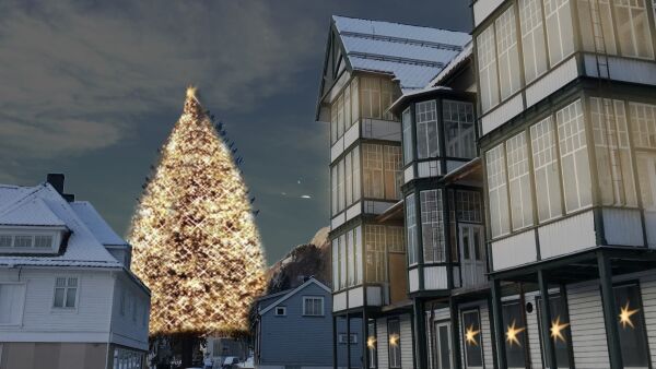 45.000 til nye lys i julegrana på Sjøholt