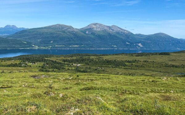 Sunnmørsdame mista gullarmbånd