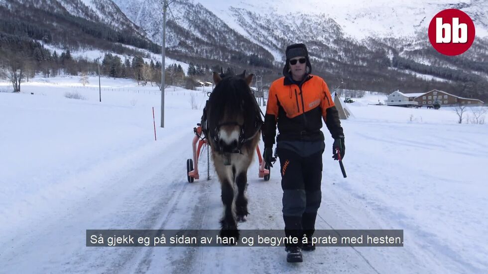 Driv skogen på gamle-måten etter alvorleg hesteulukke