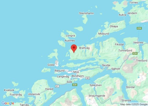 Fyllekøyrde inn i steinmur på fjellveg