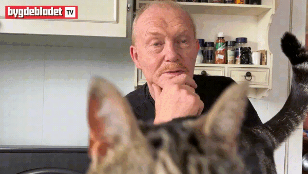 - Kva om eg ikkje hadde vore heime?