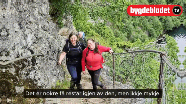 Stemne på gromgarden til Dronninga
