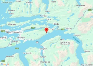 Steinar i vegbana