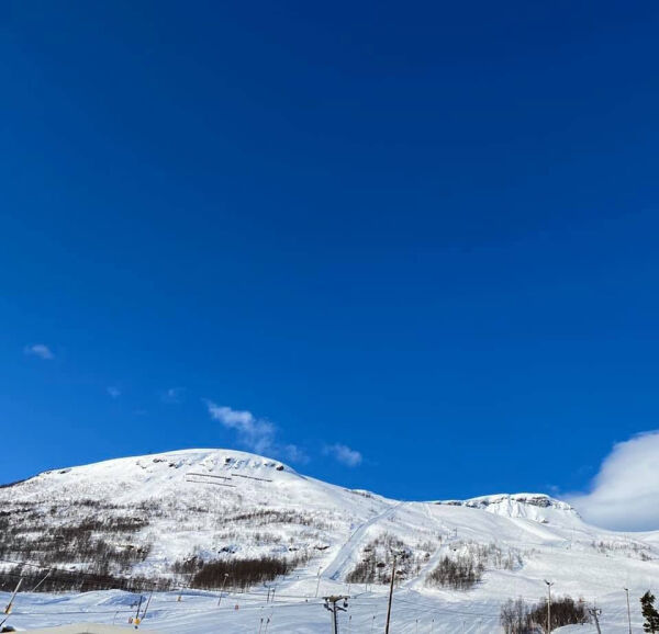 Berga ut frå snøskred