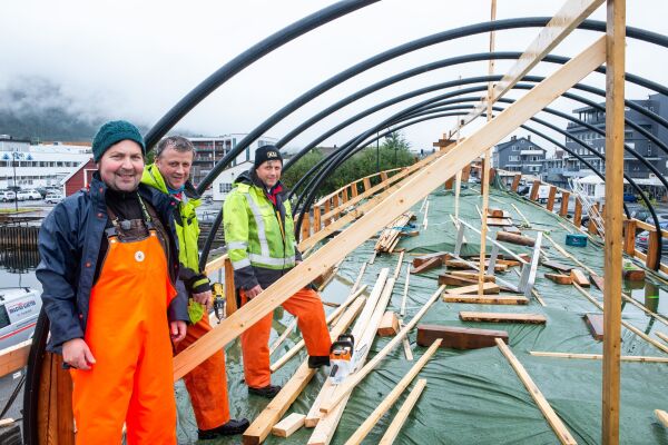 Søblomsten i vinteropplag