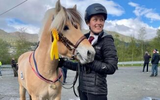Flotte hingstar på utstilling