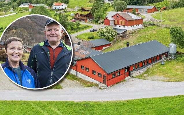 Livsverk til sals for 10 millionar