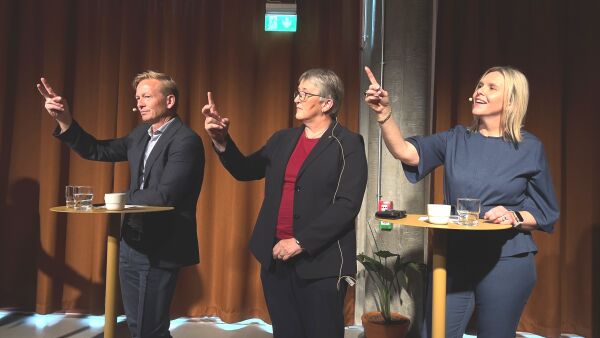 Desse verva har politikarane på Mørebenken utanom Stortinget