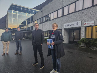 Treng satsing på arbeidsplassar - ikkje skatt
