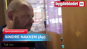 Desse kom inn i Ålesund kommunestyre