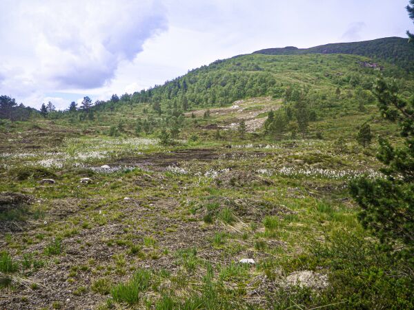 Ikkje aktuelt med fjellcamp i skytefelt
